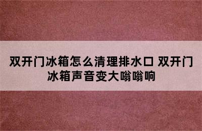 双开门冰箱怎么清理排水口 双开门冰箱声音变大嗡嗡响